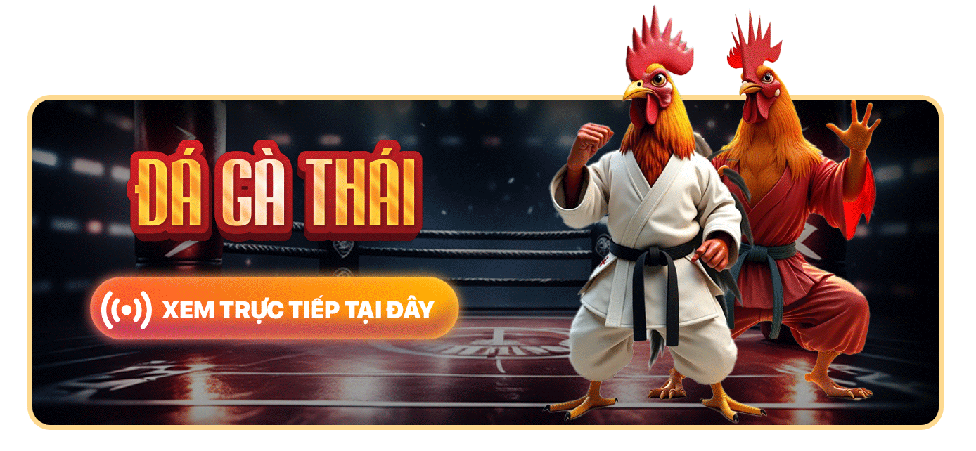 xem trực tiếp đá gà thái